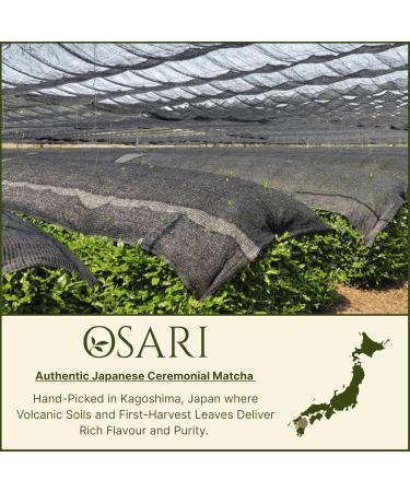 OSARI Ceremonial Matcha Powder 80g First harvest from Kagoshima Japan 100 pure lab tested Stoneground rich in antioxidants and soft umami flavor For matcha latte & tea 80 Grams - Buy Online on GoSupps.com