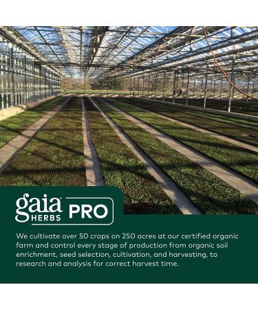 Gaia PRO Black Cohosh - Menopause Support Supplement - Hormone Balance for Women - Organic Black Cohosh - 60 Vegan Liquid Capsules - Buy Online on GoSupps.com