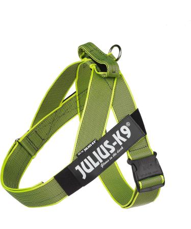 Julius-K9 Belt Harness L/1 Neon-Grey | Durable Color & Gray Dog Harness for International Shipping - Buy Online on GoSupps.com