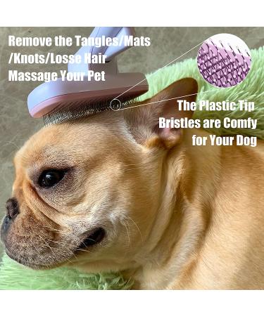Coopupet 3-in-1 Pet Hair Brush Set: Self Cleaning Slicker Brush, Grooming Glove, Lint Remover - Ideal for Long & Short Haired Dogs & Cats - Reduces Shedding - Efficient Pet Hair Remover - Pink - Buy Online on GoSupps.com