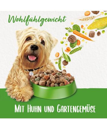 Beneful Dry Dog Food - with Chicken and Garden Vegetables - 1 Pack (1 x 12 kg) - Buy Online on GoSupps.com