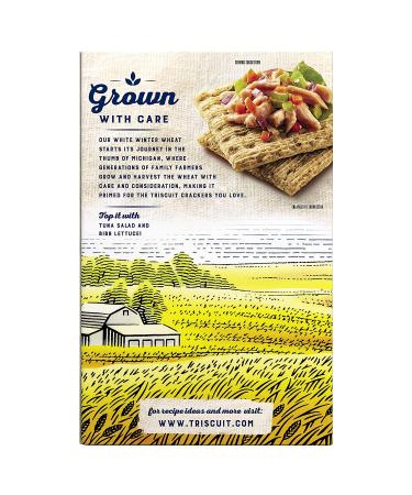 Triscuit Dill Sea Salt Olive Oil Whole Grain Wheat Crackers 8.5 oz - Buy Online Now - Buy Online on GoSupps.com