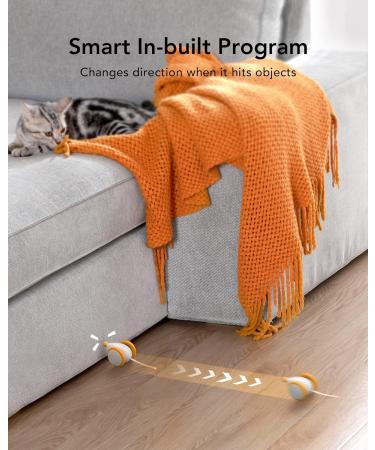 Petlibro Interactive Cat Toys - LED Lights, Electric Mice, USB Rechargeable - Buy Online on GoSupps.com