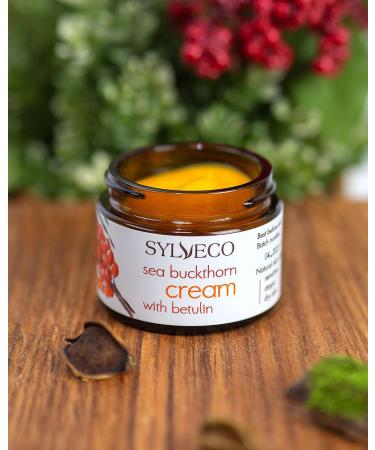 SYLVECO Birch Day Cream with Sea Buckthorn for Combination Skin with Betulin Face Cream for Dry and Impure Skin Natural Cosmetics for Face and Neck Size 50 ml - Buy Online on GoSupps.com