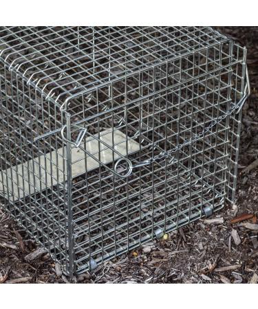 OxGord Live Animal Trap - Humane 2-Door 32 Cage for Raccoon, Opossum, Cat, Rabbit & Rodents - Buy Online on GoSupps.com