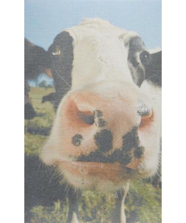 FarmHouse Fresh Sweet Cream Body Milk Sweet Cream 8 Fl Oz (Pack of 1) - Buy Online on GoSupps.com