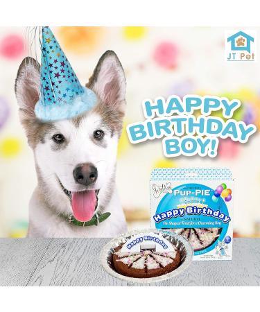 JT PET Dog Birthday Boy Party Pack: Bandana, Star Spangled Hat, Vegan Pie - Large Boy Dog - Buy Online on GoSupps.com