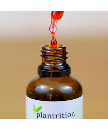 Plantrition Vitamin B12 Drops - 1250 Drops 100 g Methyl & Adenosylcobalamin Alcohol-Free Vegan - 50ml Manufactured in Germany - Buy Online on GoSupps.com