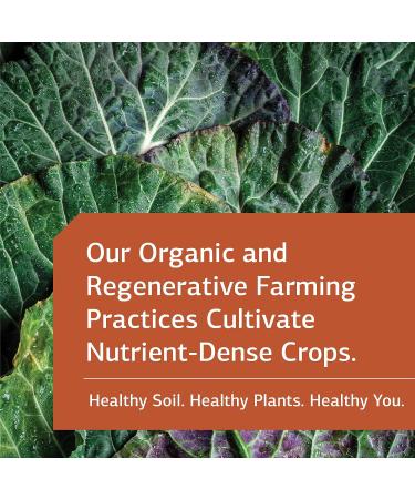 Standard Process Cataplex D - Whole Food Immune & Digestive Support - 180 Vegetarian Tablets - Buy Online on GoSupps.com