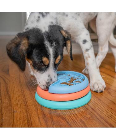 Outward Hound Puppy Lickin' Layers Puzzle Toy by Nina Ottosson - Buy Online on GoSupps.com