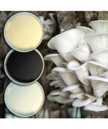 Agar Variety Kit by Evviva Sciences - Premium Performance for Mushrooms & Science Projects - Buy Online on GoSupps.com