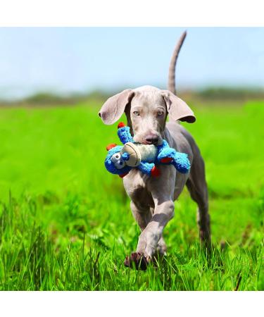 KONG Cross Knots Monkey Toy for Small/Medium Dogs - Internal Knotted Ropes, Minimal Stuffing - Multicolor - Buy Online on GoSupps.com