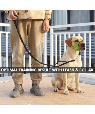 Barkeless Dog Halter for Easy Training & Walks - Soft Handle Pulling Solution Expert Instructions - Size M Green - Buy Online on GoSupps.com