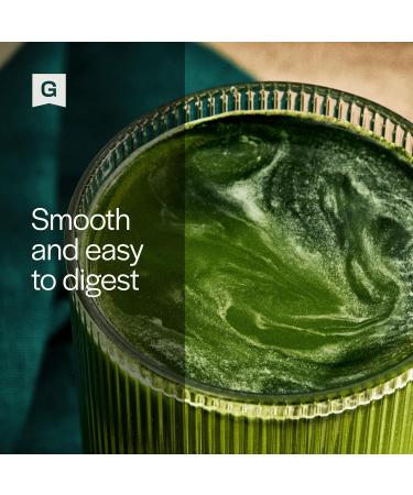 Gainful Daily Performance Greens Powder Gut Health Energy Focus and Immune Support with L Theanine Organic Greens Chlorella Ginger Green + Adaptogen Drink Mix (10 Pack Tropical Pineapple) - Buy Online on GoSupps.com