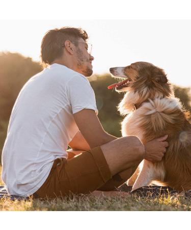 Dabem Rainbow Bridge Pet Memorial Bracelet - Sympathy Gift for Women/Men - Blue - Buy Online on GoSupps.com