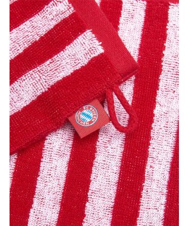 FC Bayern Munich Wash Mitt Set of 2 - One Size | Premium Car Cleaning Accessories | International Shipping - Buy Online on GoSupps.com