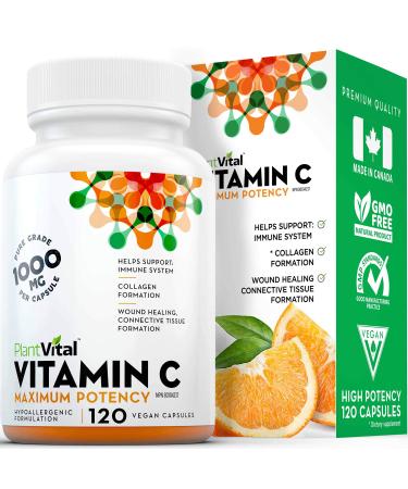 PlantVital Vitamin C 1000mg MAXIMUM STRENGTH. 120 Vegan Capsules Canadian Made Vit C Supplements helps support immune system collagen & connective tissue formation maintenance of bones teeth & gums (1 Bottle) 120 count (Pack of 1)