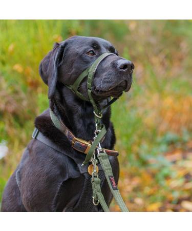 Halti Head Harness for Small Dogs - Prevent Pulling Light & Adjustable Padded Nose Strap Anti-Train Neck Band - Forest Green (Size 1) - Buy Online on GoSupps.com