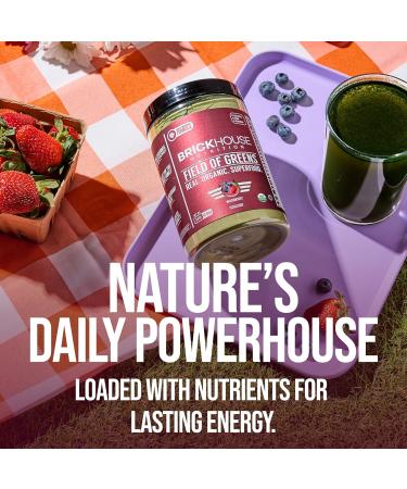 BRICKHOUSE NUTRITION Field of Greens Super Greens Powder | Doctor-Formulated Superfood Powder, Fruits & Veggies Supplement - Wildberry (Single Pack) - Buy Online on GoSupps.com