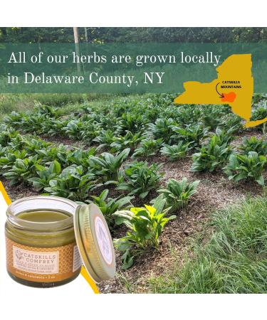 Catskills Comfrey Arnica & Calendula (4oz) 3 in 1 Comfrey Salve for Bone Healing Organic Comfrey Oil Cream Only 4 Natural Ingredients Home-Grown & Home-Made Multi-use Natural Skincare 4 Ounce - Buy Online on GoSupps.com
