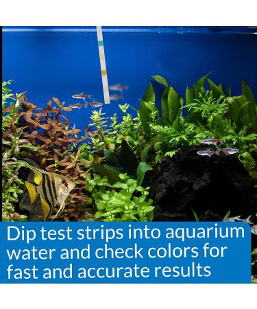 API 5-in-1 Aquarium Test Strips 25-Count Box for Freshwater and Saltwater | Water Testing Kit - Buy Online on GoSupps.com