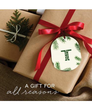 Thymes Frasier Fir All-Purpose Cleaner - Biodegradable Household Spray with Essential Oils for Kitchens & Bathrooms - 16 fl oz - Buy Online on GoSupps.com