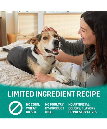 Purina Beyond Grain Free Wet Dog Food â€“ Ocean Whitefish, Salmon & Sweet Potato (12 Cans, 13 oz Each) - Buy Online on GoSupps.com