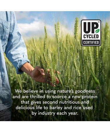 Garden of Life Plant-Based Sprouted Barley Protein Chocolate with 21g Protein 0g Sugar & Clean Ingredients Upcycled Barley Probiotics Non-GMO use in Shakes Smoothies & Baking 20 Servings - Buy Online on GoSupps.com