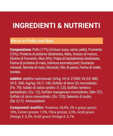 Purina ONE Medium/Maxi 10 kg Dog Food 4 Bags of 2.5 kg each - Buy Online on GoSupps.com