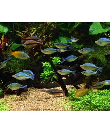 Seachem Pristine Aquarium Treatment 500ml - Clean & Clear Water Solution - Buy Online on GoSupps.com