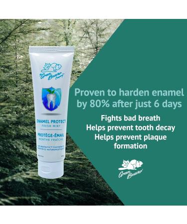 Green Beaver Naturapeutic Toothpaste - Enamel Protect Fresh Mint - 3-Pack - Buy Online on GoSupps.com