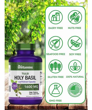 Tulsi Holy Basil Capsules 1600mg x 240 | Stress Relief & Adaptogenic Ayurvedic Herb | TNVitamins - Buy Online on GoSupps.com