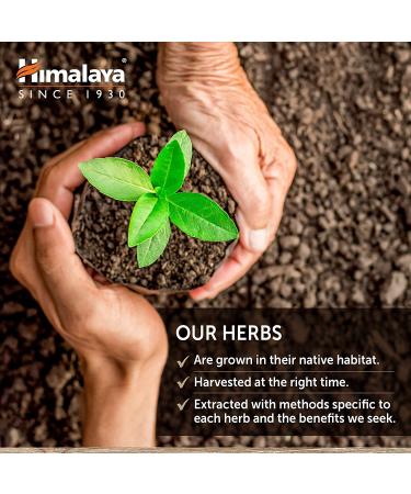 Himalaya Organic Ginger Digestive Relief Supplement - 820mg 60 Caplets - 2 Month Supply | Relieve Nausea, Gas, Upset Stomach - Buy Online on GoSupps.com