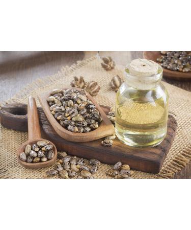 Dr Joe Lab Castor Oil Cold Pressed Castor Oil Unrefined Pure Hexane Free Non GMO - Natural Moisturizing Hydrating Hair Skin Face Body Nails - 32 Oz - Buy Online on GoSupps.com