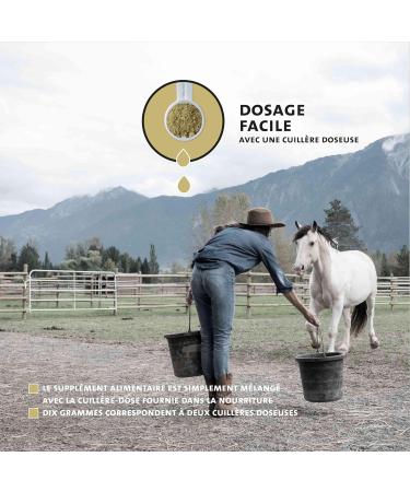 Peticare Cough Powder for Horses | Airways & Colds Support | Promotes Mucus Dissolution | Natural Herbal Powder Formula | No - Buy Online on GoSupps.com