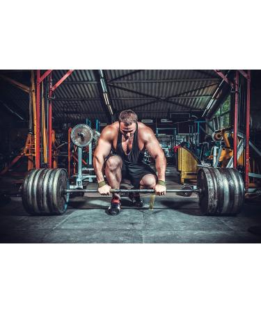 Buy Creapure Creatine Powder 500g - Premium Creatine Monohydrate from Germany for Fitness & Strength Training - High-Dose Creapure Supplement - Buy Online on GoSupps.com