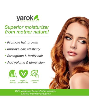 Yarok Feed Your Volume Shampoo - Vegan Sulfate-Free Volumizing Cleanse with Aloe Vera & Macadamia Oil - 8.5oz - Nourish & Lift Hair - Buy Online on GoSupps.com