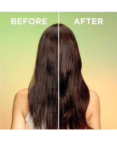 Garnier Fructis Grow Strong Thickening Shampoo with Biotin-C - 33.8 Fl Oz - Fine Hair - 1 Count - Buy Online on GoSupps.com