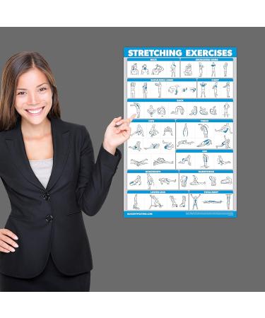Quickfit Stretching Exercises & Muscle Anatomy Poster Set - Laminated Workout Diagrams (45.7 x 68.6 cm) - Enhance Your Stretching Routine! - Buy Online on GoSupps.com