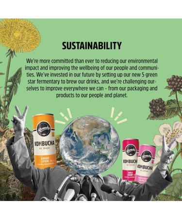 Remedy Raw Kombucha Tea Sparkling Live Cultured Drink Sugar Free Ginger Lemon - 8.45 Oz Pack Of 12 - Buy Online on GoSupps.com