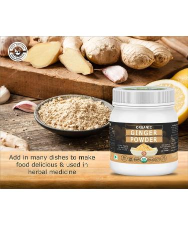 Organic Ginger Powder/Sunth - 16 Oz/1 lbs | USDA Certified, 100% Pure & Natural, Cold Symptom Relief | Kitchen Spice for Flavor & Aroma | RAW, Non GMO - Buy Online on GoSupps.com