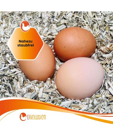 Buy Egg Rigories with Eucalyptus 14kg - Ideal for Chickens Rodents & Horses | Highly Absorbent Stable Climate - Buy Online on GoSupps.com