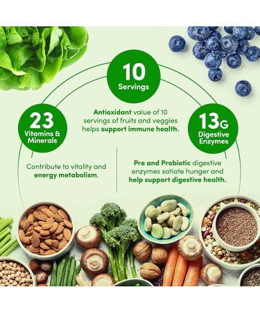 Designer Wellness Plant Meal Replacement Powder - Pea & Rice Protein with Vitamins, Minerals, Fats, Antioxidants - Belgian Chocolate - 1.32 lb - Buy Online on GoSupps.com