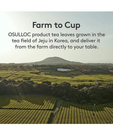 OSULLOC Moon Walk Korean Pear Tea | Premium Blended Tea Bag | Sweet Fruit Tea | 20 Count - Buy Online on GoSupps.com