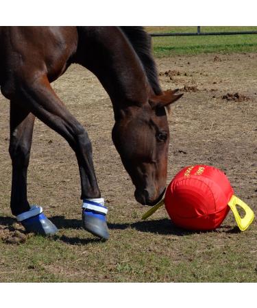 Signature Horsemen's Pride 14-Inch Horse Jolly Tug Blue one size - Buy Online on GoSupps.com