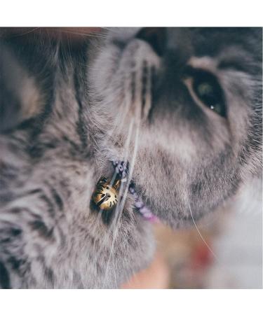 Necoichi Chirimen Hanabi Fireworks Cat Collar - Handcrafted in Japan - Purple - One Size Fits All - Buy Online on GoSupps.com