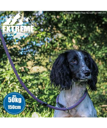 Extreme Rope Slip Lead Red/Blue 1.5mx12mm - Buy Online on GoSupps.com