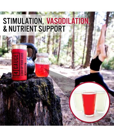 4 Gauge Explosive Preworkout | 30 Servings | Jitter-Free Nitric Oxide Booster | L-Citrulline L-Carnitine Creatine | No Artificial Ingredients | Fruit Blast - Buy Online on GoSupps.com