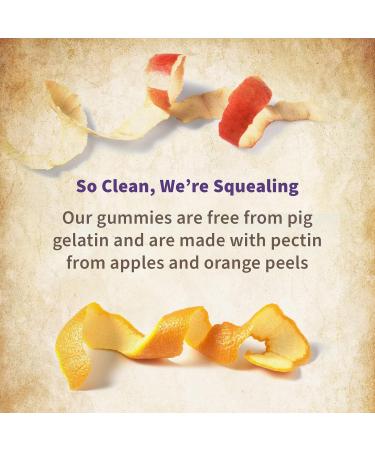 Garden of Life Organics Prental Multi Gummies 120ct & Dr. Formulated Once Daily Prenatal Probiotics 30ct - Buy Online on GoSupps.com