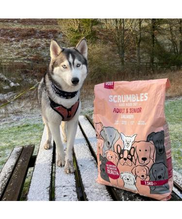 Scrumbles Natural Dry Dog Food Grain Free Recipe with Fresh Salmon for Adults and Senior Breeds 7.5 kg Bag Salmon 7.5 kg (Pack of 1) - Buy Online on GoSupps.com